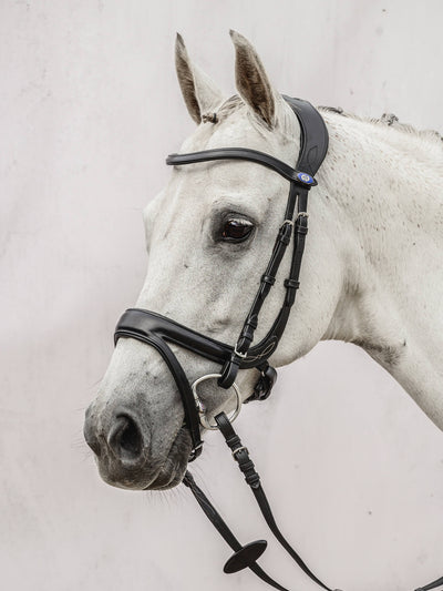 Bridle Jump Off