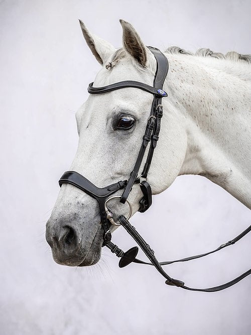 Pioneer bridle