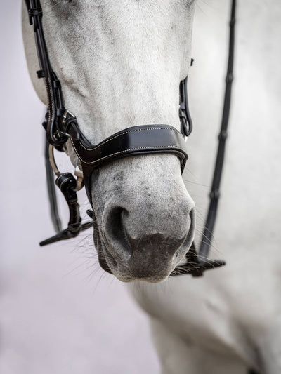 Pioneer bridle