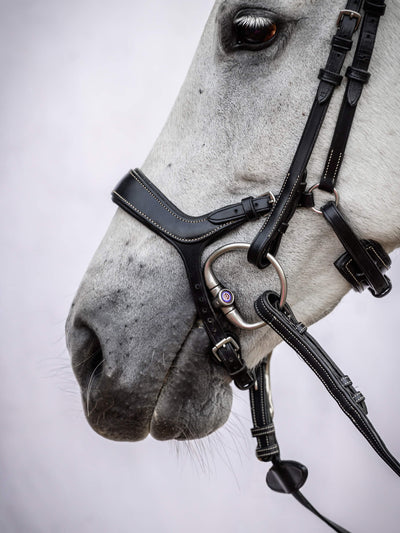 Pioneer bridle